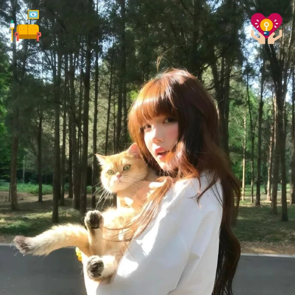 落日之后